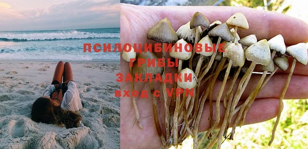соль ск Вяземский