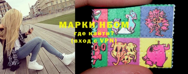 соль ск Вяземский