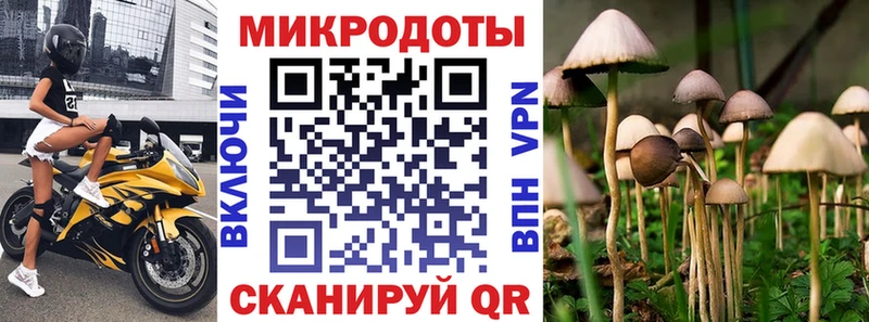 Галлюциногенные грибы MAGIC MUSHROOMS  Владикавказ 