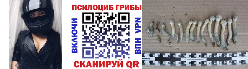 Псилоцибиновые грибы GOLDEN TEACHER Владикавказ